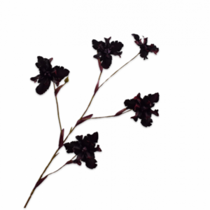 Iris steel rood 86cm